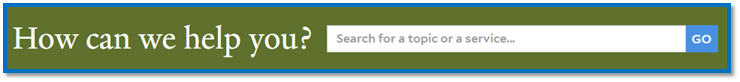 Example of the How can we help you? search section.